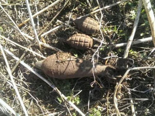 Под Кривым Рогом за три дня обнаружили 8 боеприпасов (ФОТО)