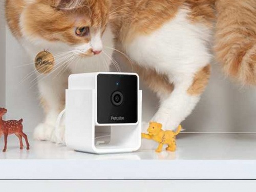 Інновації для улюбленців - фото з відкритих джерел