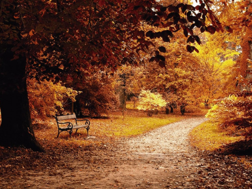 Фото з відкритих джерел    