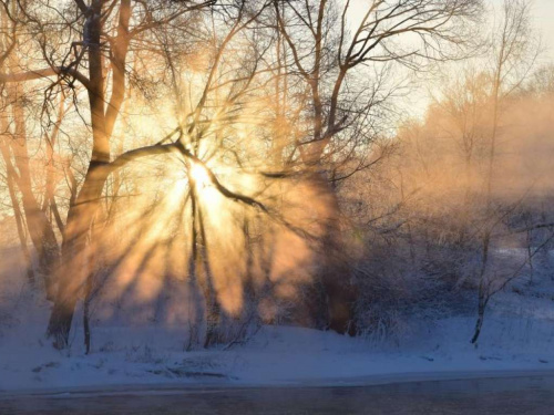 Антициклон і відлига: чому погода цього тижня буде мінливою - фото з відкритих джерел