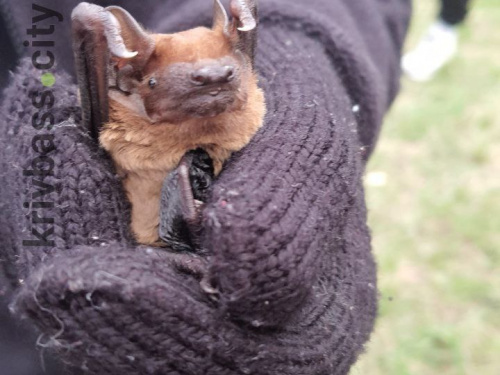 Фото редакції krivbass.city