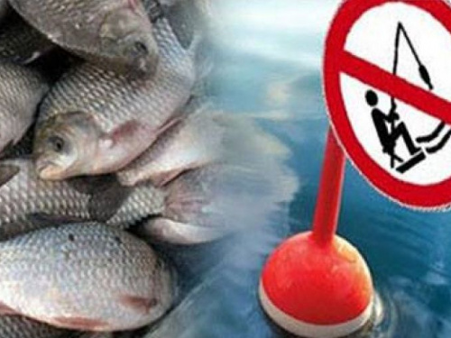 В Кривом Роге стартует запрет на вылов рыбы