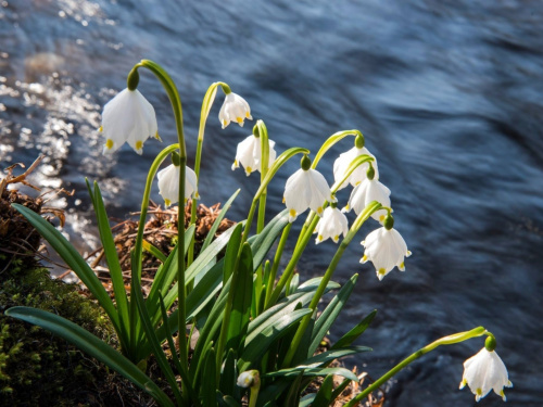 Фото з відкритих джерел    