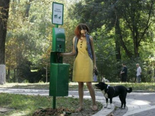 Убери за своей собакой: криворожан просят поддержат петицию