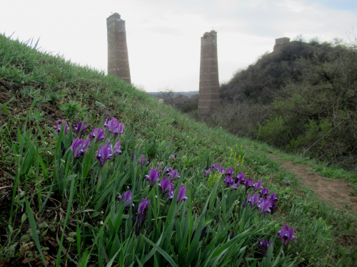 Балка Північна Червона