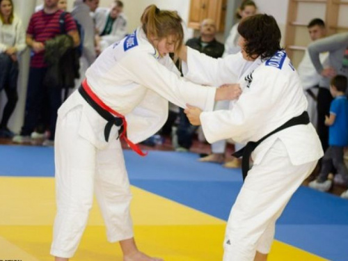 Дзюдоисты из Кривого Рога стали призерами Кубка Днепропетровской области