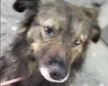 Фото: Наталя Піскун