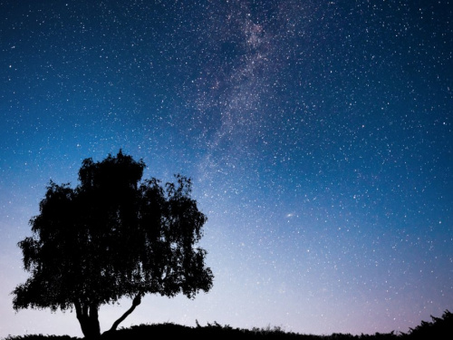 Як побачити найяскравіший зорепад літа в Україні - фото з відкритих джерел