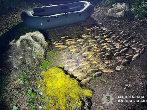 Браконьєрів затримали на гарячому: у Кривому Розі рибалили під час нересту