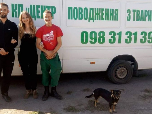 В Кривом Роге наконец-то заработал Центр обращения с животными: куда сообщать о бродячих собаках (ТЕЛЕФОН)