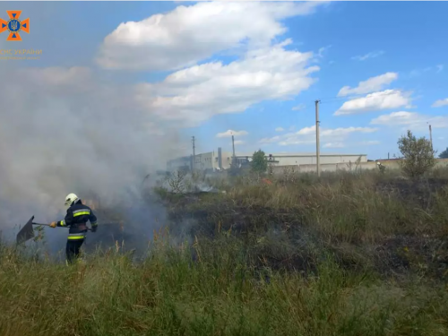 На Дніпропетровщині фіксують численні пожежі в екосистемі: рятувальники б’ють на сполох
