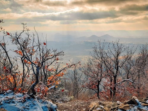 Фото з відкритих джерел
