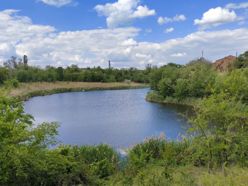 Фото редакції krivbass.city