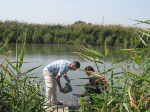 Результаты неутешительны: что показали лабораторные исследования рек в Кривом Роге