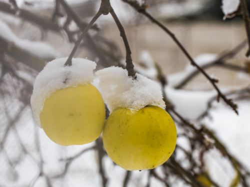 Фото з відкритих джерел