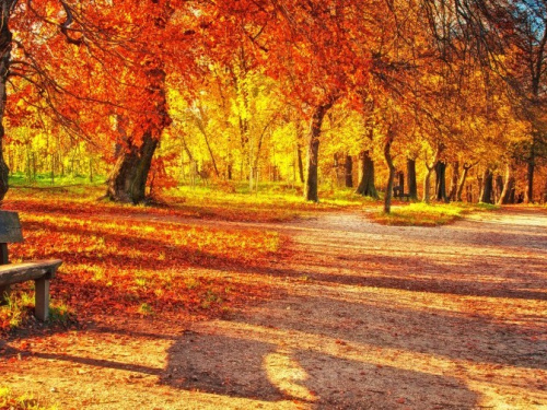 Осень пришла: жителей Кривого Рога ожидает существенное похолодание