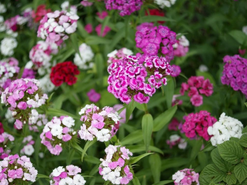 Фото з відкритих джерел