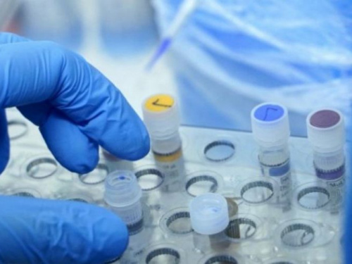 Фото из сети Интернет