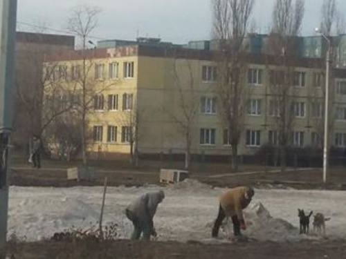Жители Восточного-2 в Кривом Роге получат новую площадку для своих домашних питомцев (ФОТО)