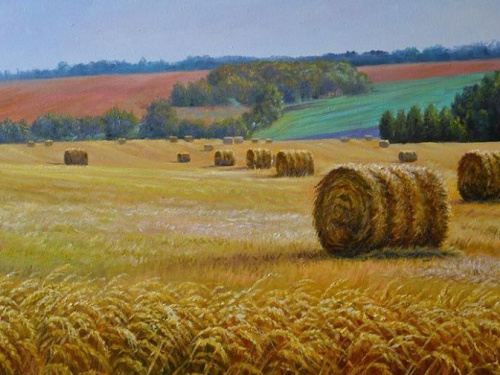 Изображение из сети Интернет