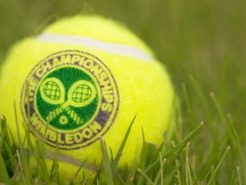 Фото из сети интернет