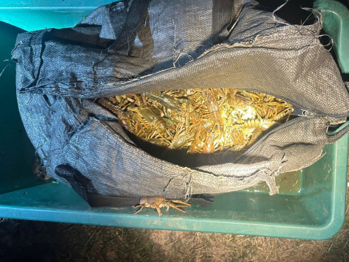 Фото Дніпропетровський рибоохоронний патруль