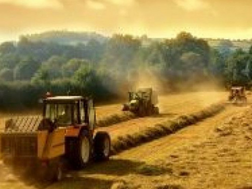 Прокуратурой Днепропетровской области задержана госрегистратор за помощь в рейдерском захвате земли