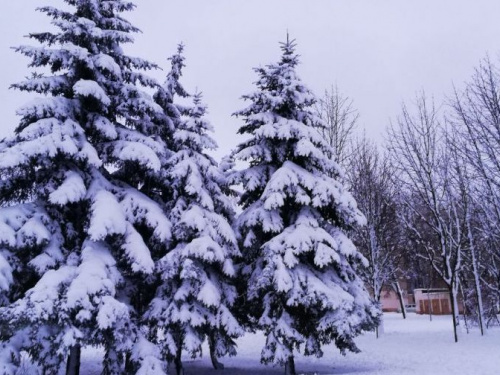 На Рождество в Кривом Роге усилится мороз: чего ждать от погоды в ближайшие дни