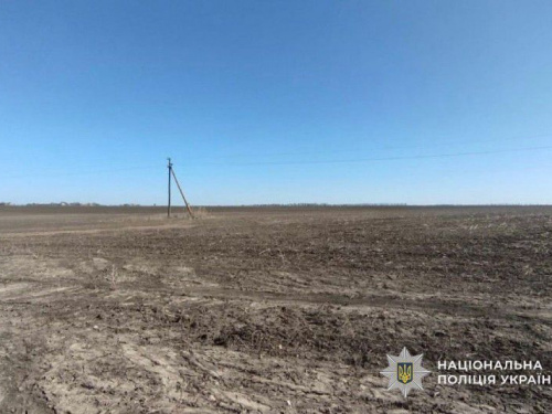 Сотні гектарів «зникли» з декларації: на Криворіжжі судитимуть депутата за недостовірну інформацію