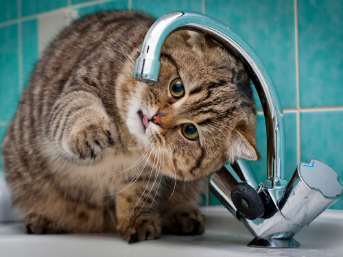 Комунальники КП "Кривбасводоканал" попередили про зниження тиску води у п'яти районах міста