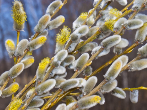 Фото з відкритих джерел