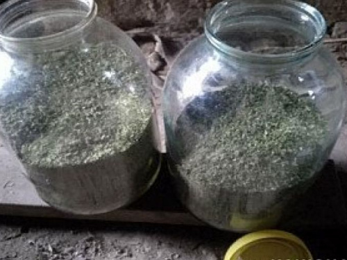 Под Кривым Рогом изъяли почти восемь килограмм наркотиков (фото)