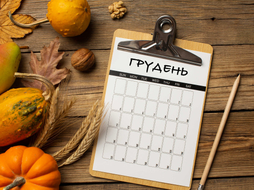 Що сіяти й робити в грудні: поради для саду та дому - фото з відкритих джерел