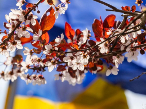 Фото з відкритих джерел