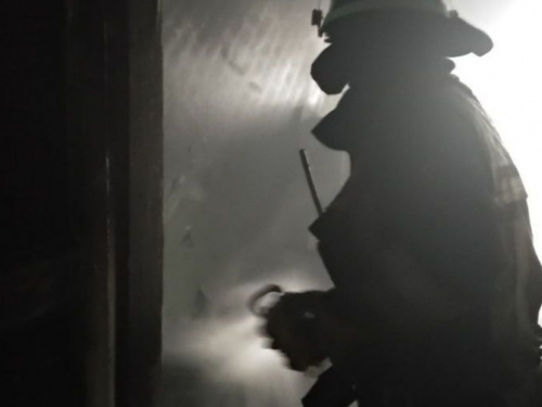 Спасатели Кривого Рога вынесли женщину из горящего здания (фото)