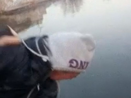 Полиция области задержала двух подонков, сбросивших человека с моста и снявших его смерть на видео (фото, видео)