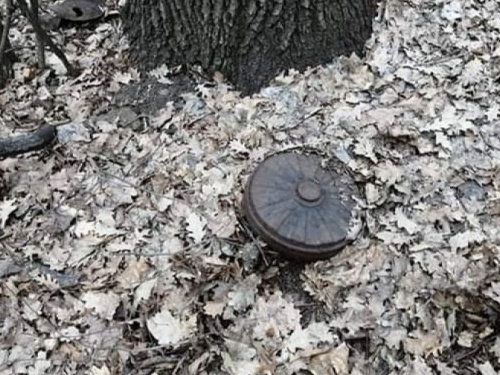 В Криворожском районе ликвидировали опасные находки (фото)