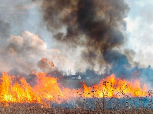В Кривом Роге горел сухостой, мусор и камыш