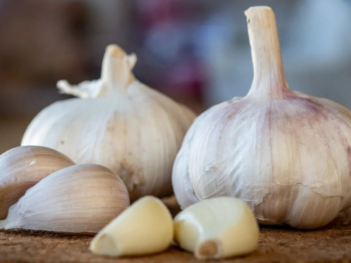 Часник буде великий і міцний: що додати в ґрунт навесні - фото з відкритих джерел