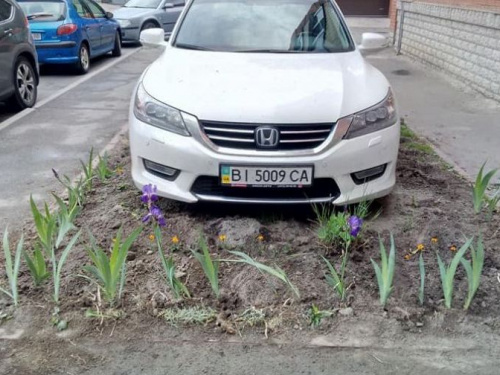 В Кривом Роге водители паркуются на клумбе и избивают тех, кто делает им замечание? (ФОТО)