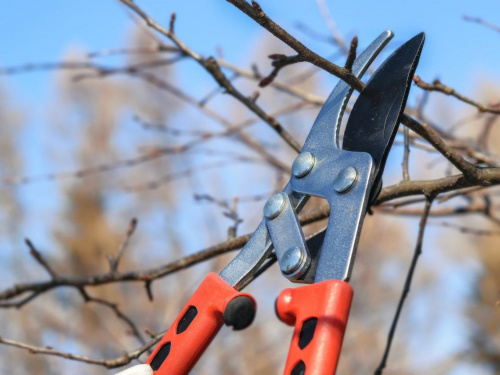 Фото з відкритих джерел