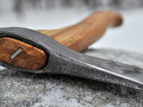 В Кривом Роге прокуратура направила в суд резонансное дело о "топорной мести" за мать