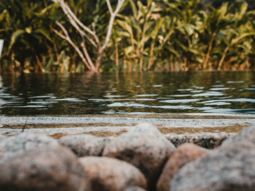 Зображення від wirestock на Freepik