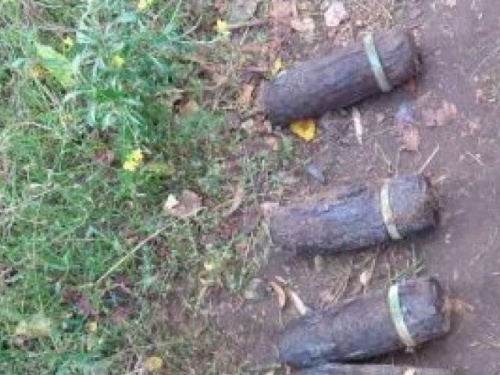 В Криворожском районе нашли и обезвредили 13 боеприпасов