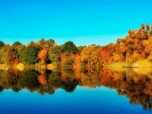 Фото з відкритих джерел       