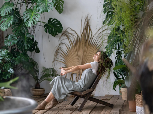 Кімнатні квіти, які змінюють атмосферу вдома - фото з відкритих джерел