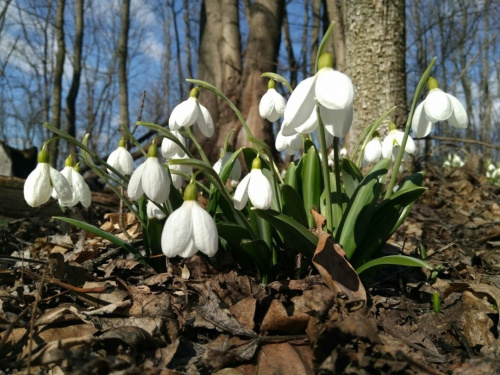 Фото редакції krivbass.city