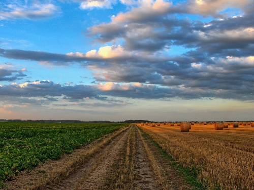 Фото з відкритих джерел      