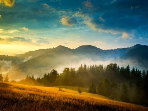Фото з відкритих джерел    