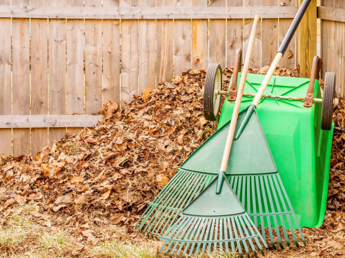 Фото з відкритих джерел